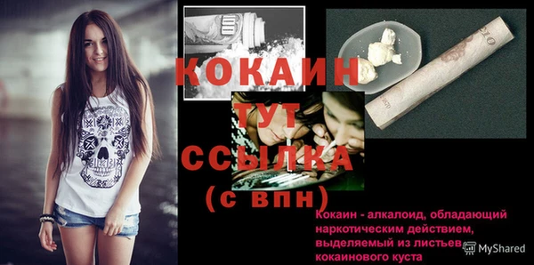 СК Абинск
