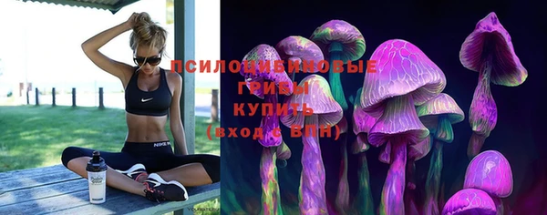 крисы Абдулино